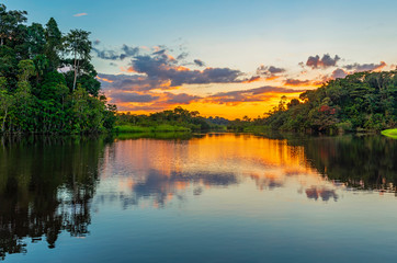 View of amazon