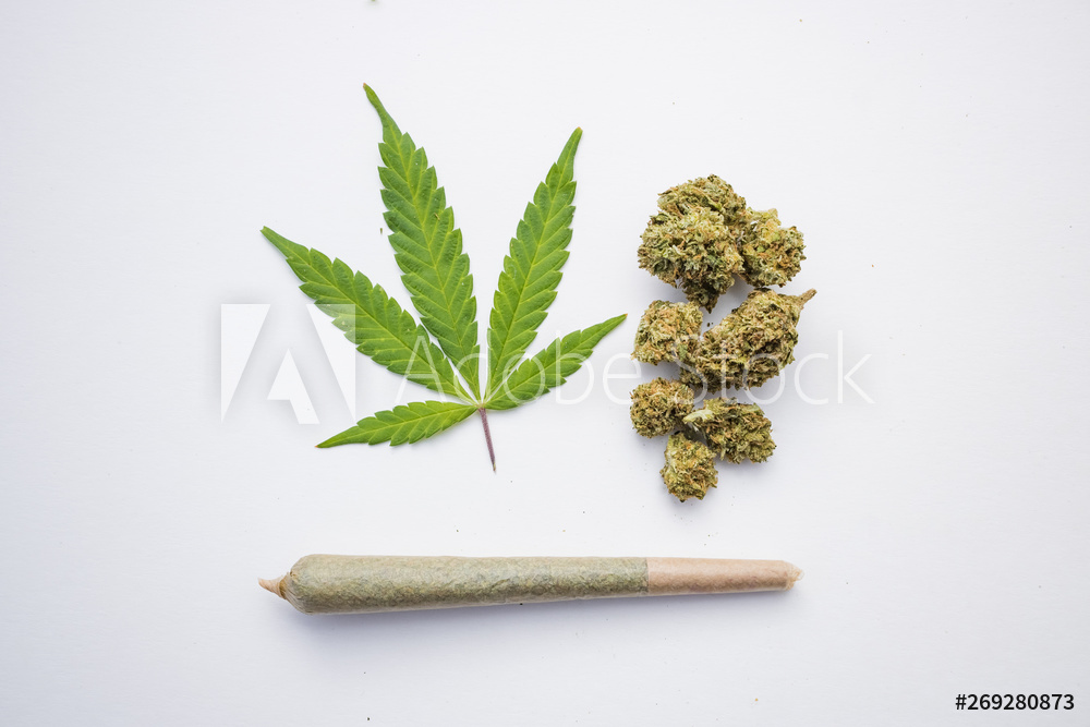 cannabis